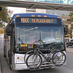 max for the environment